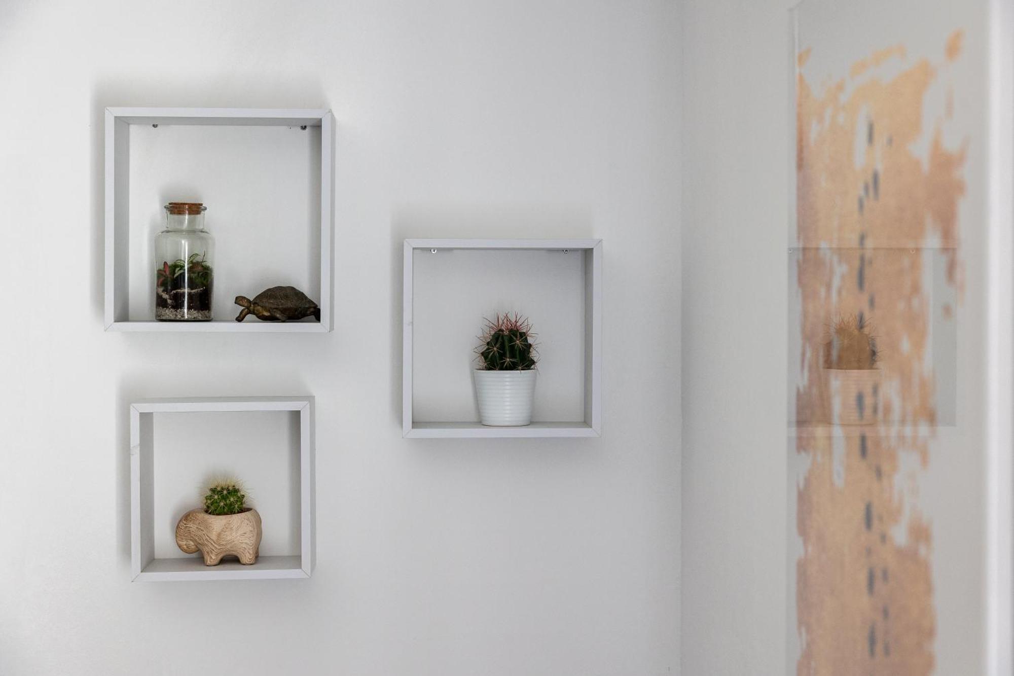 Dubrovnik Domus Apartment Bagian luar foto